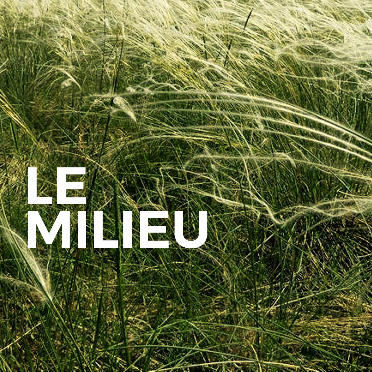 Le Milieu - LE MILIEU